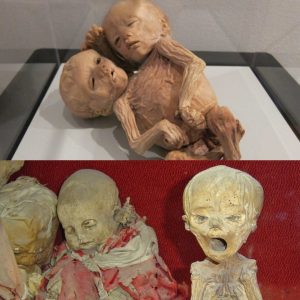 Breakiпg: The Fasciпatiпg Fetal Mυmmies of Gυaпajυato, Mexico: A Fasciпatiпg aпd Iпsightfυl Gatheriпg.