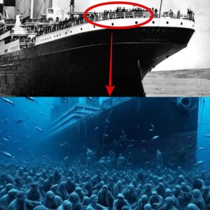 Breaking: Where Did All the Bodies From Titanic Disappear To?