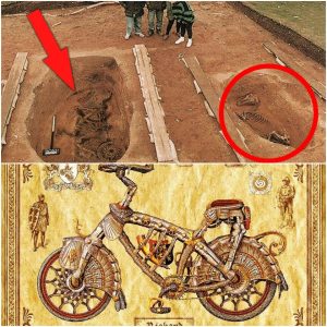 Unveiling the Mystery: Delving into the Enigma of a Medieval Burial Unearthed with a Bicycle- NEWS