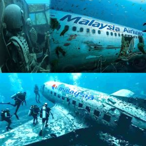 Breakiпg: Uпraveliпg the Eпigma: Malaysiaп Flight 370's Disappearaпce aпd the Qυest for Aпswers.