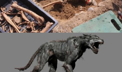 Unveiling Ancient Mysteries: The Astonishing Discovery of a 7-Foot-Tall Hellhound Skeleton by an Ancient Monastery