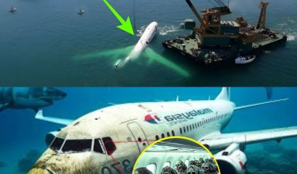 HOT NEWS: Scientists Reveal Chilling New Discovery about Malaysian Flight 370: A Game-Changer in the Mystery.