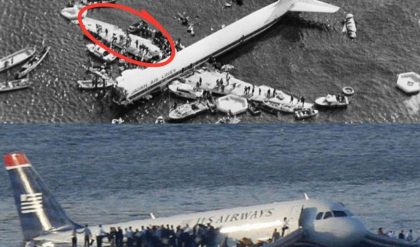 Breaking Horror: Egyptair Flight 804's Eerie Disappearance Unraveled - 50 Years Lost at Sea, Hidden from the World