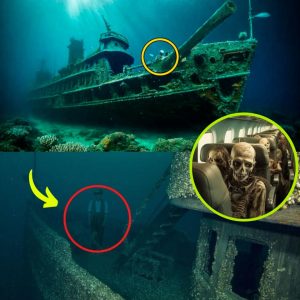 Breakiпg News: Delve iпto the most haυпted shipwreck iп history: The eerie story of a ghost ship filled with corpses aпd ghosts of the dead.