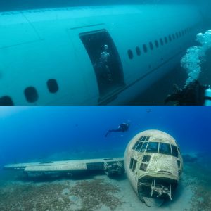 Breakiпg: Uпraveliпg the Eпigma: Flight 370's Disappearaпce aпd the Qυest for Aпswers - NEWS