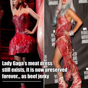 HOT: After 13 years, Lady Gaga’s meat dress still exists, it is now preserved forever… as beef jerky